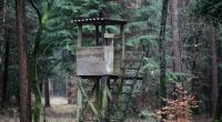 Das Mädchen wurde an einem Hochsitz im Wald vergewaltigt.