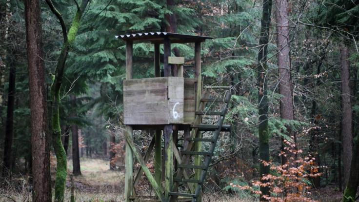 Das Mädchen wurde an einem Hochsitz im Wald vergewaltigt.