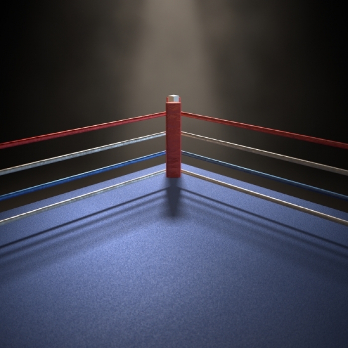 Wrestling-Star 
