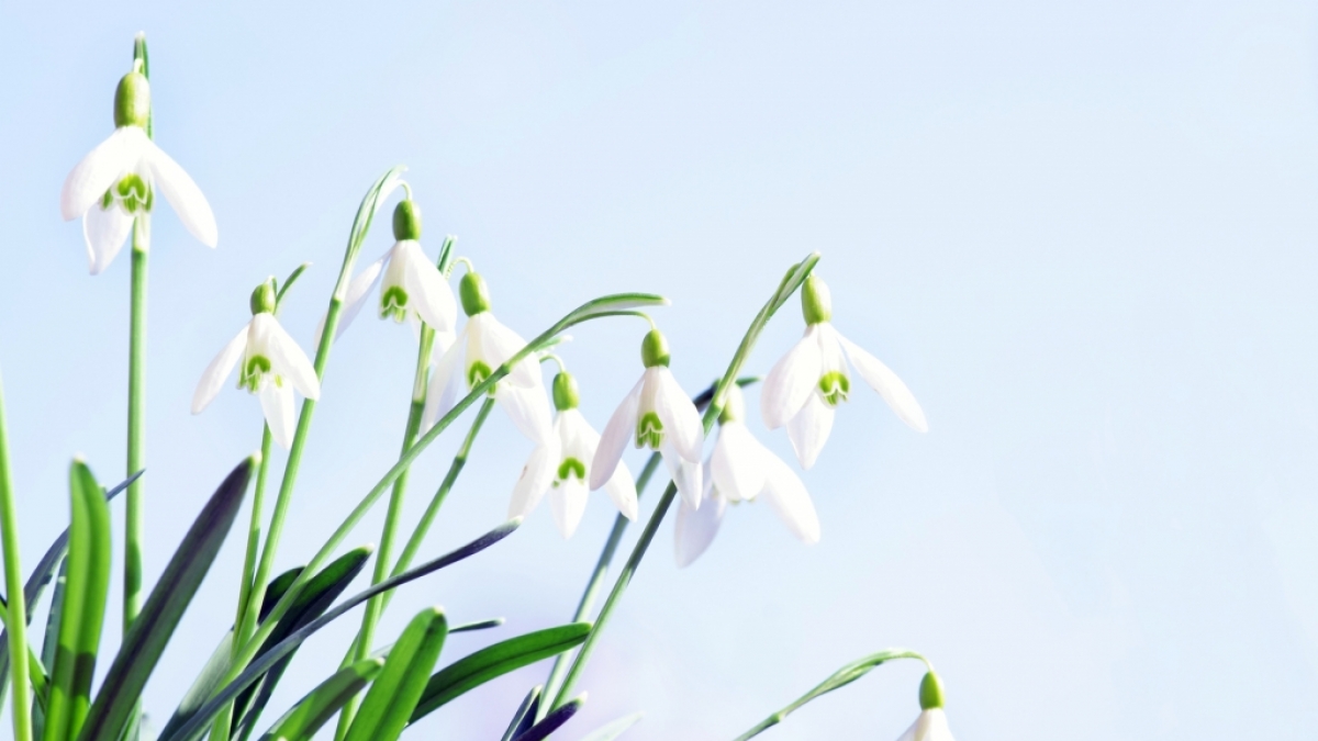 Der 100-j&auml;hrige Kalender verr&auml;t, wie das Wetter im Februar 2018 werden k&ouml;nnten. (Foto)