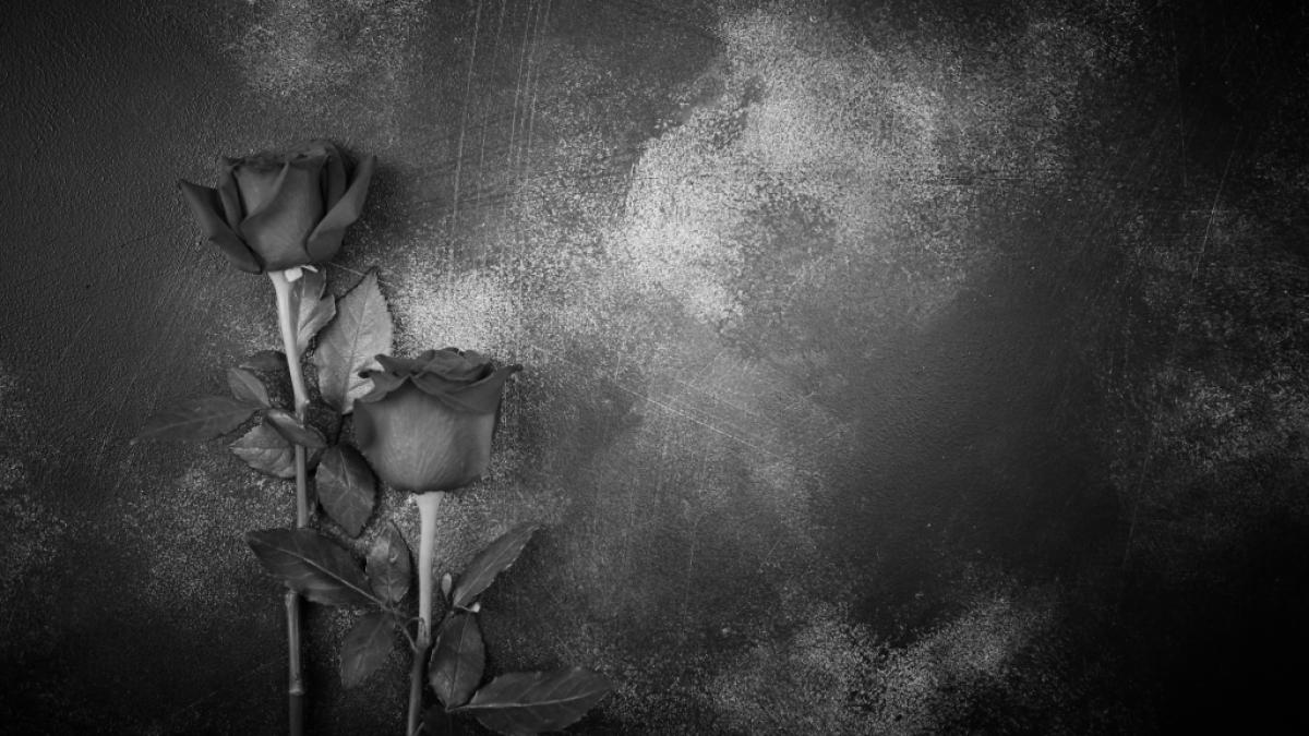Das "Playboy"-Model Ashley Mattingly ist tot. (Foto)