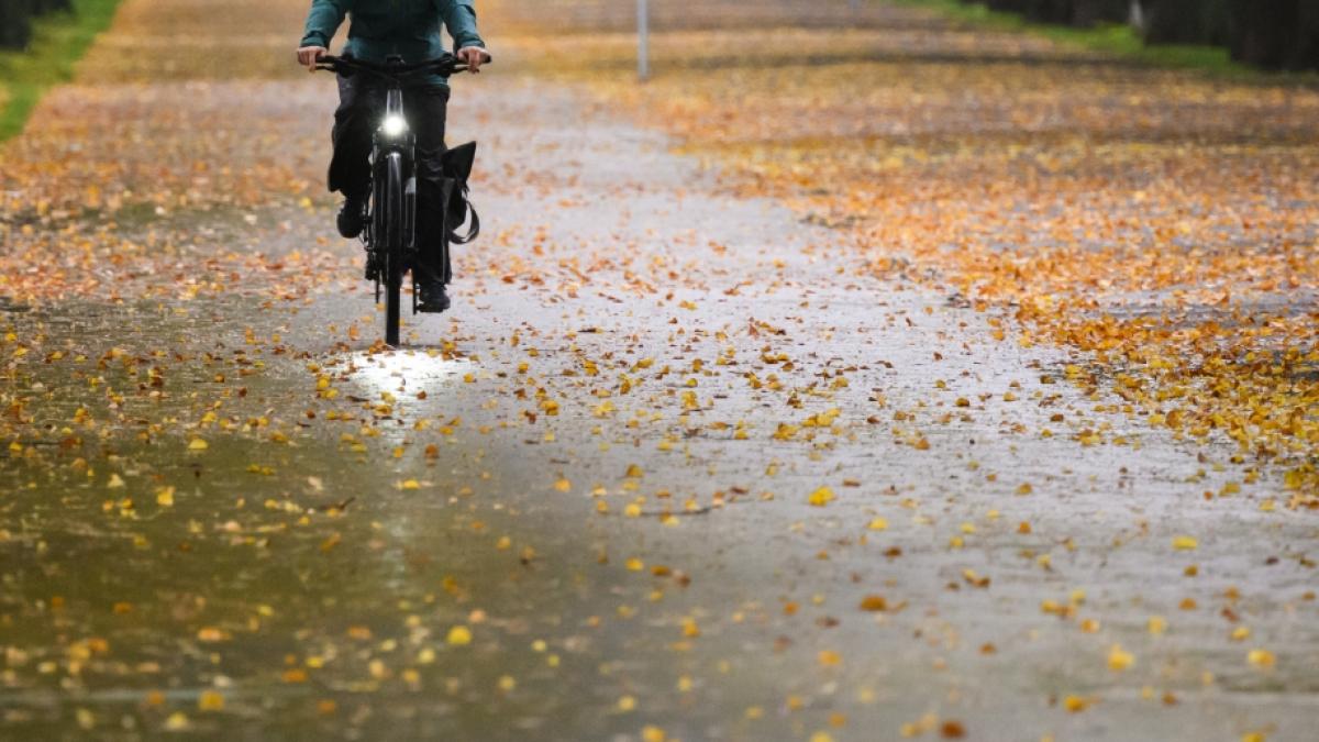Dem Altweibersommer geht die Puste aus: Eine herbstliche Kaltfront &uuml;berzieht Deutschland mit Regenschauern, Gewitter, Sturmb&ouml;en und kr&auml;ftig abfallenden Temperaturen. (Foto)