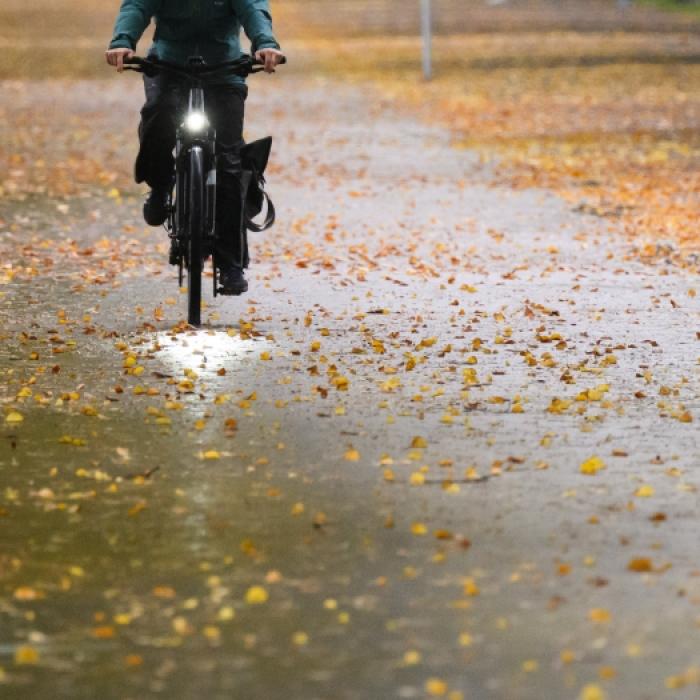 Adieu Altweibersommer! Herbst tobt nach Sturm-Gewitter-Mix heran