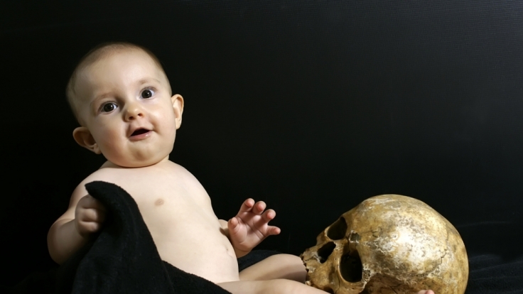 Der Darwin Award honoriert jedes Jahr die Personen, die durch eine ausgesprochen dumme Art ihre DNA aus dem Genpol der Menschheit entfernt haben.