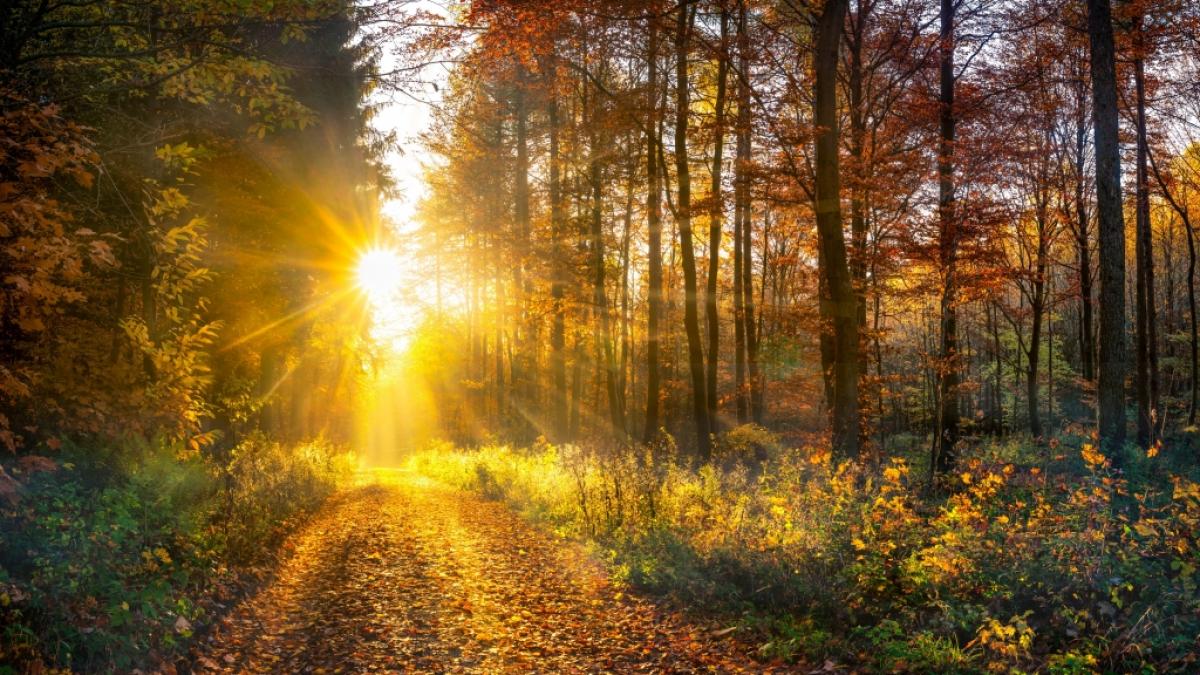 Deutschland erlebt derzeit ungew&ouml;hnlich warmes Wetter im September. Doch damit ist bald Schluss. (Foto)