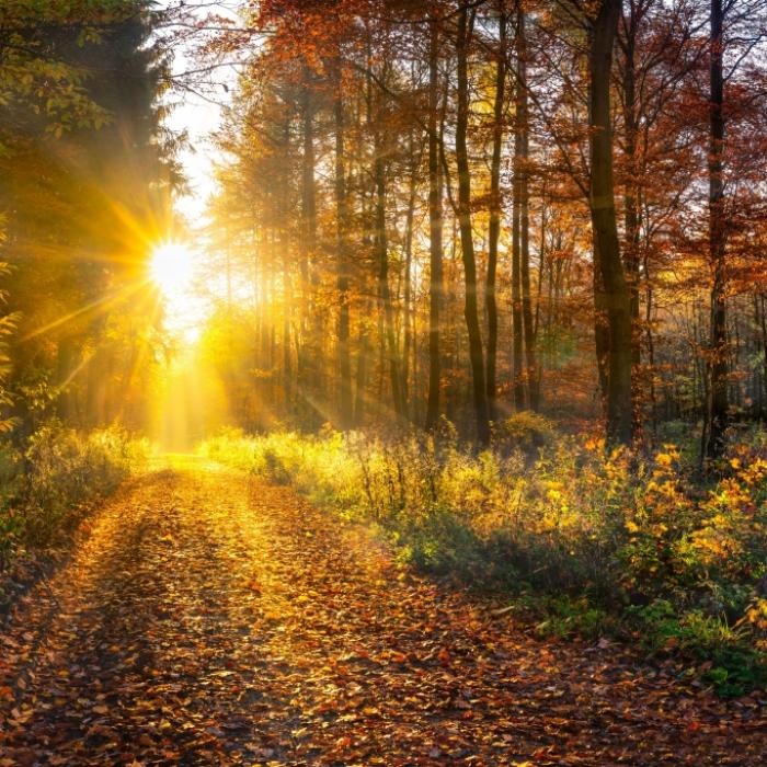 Deutschland erlebt derzeit ungewöhnlich warmes Wetter im September. Doch damit ist bald Schluss.