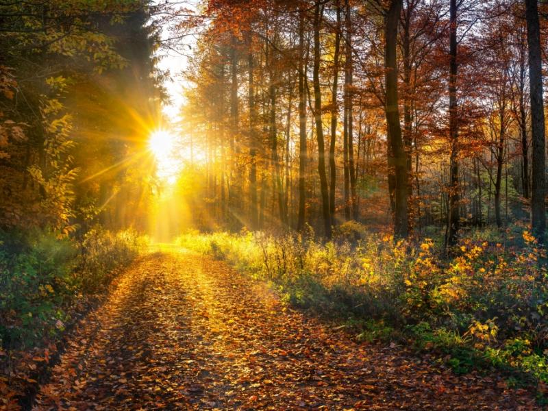 Altweibersommer-Kracher: Kaltfront beendet September-Hitze – setzt sich der Herbst nun durch?