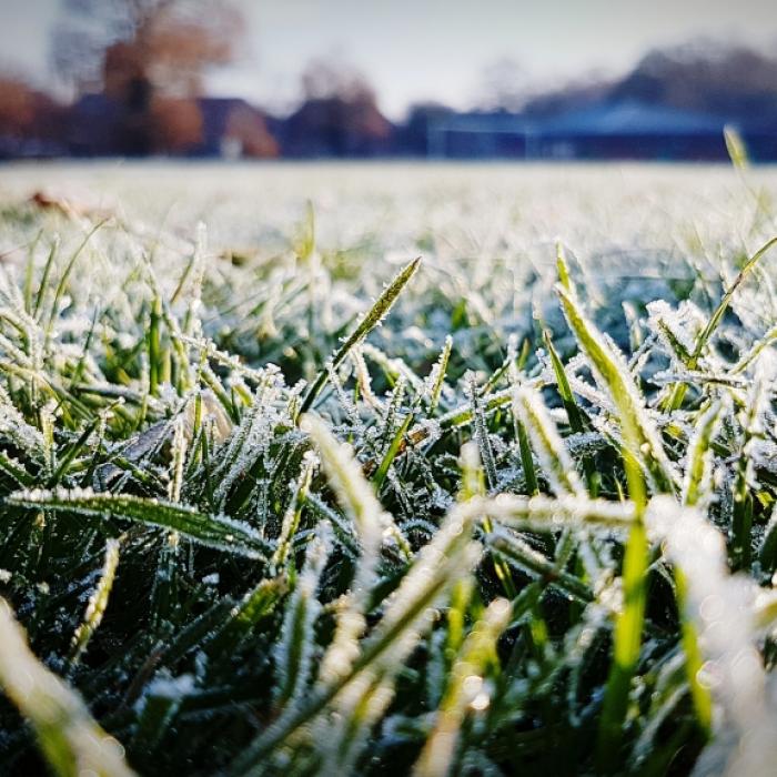 Saalfeld-Rudolstadt - Frostgefahr in mehreren Gemeinden