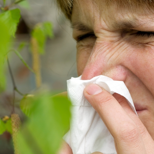 So gefährlich sind Pollen für Allergiker