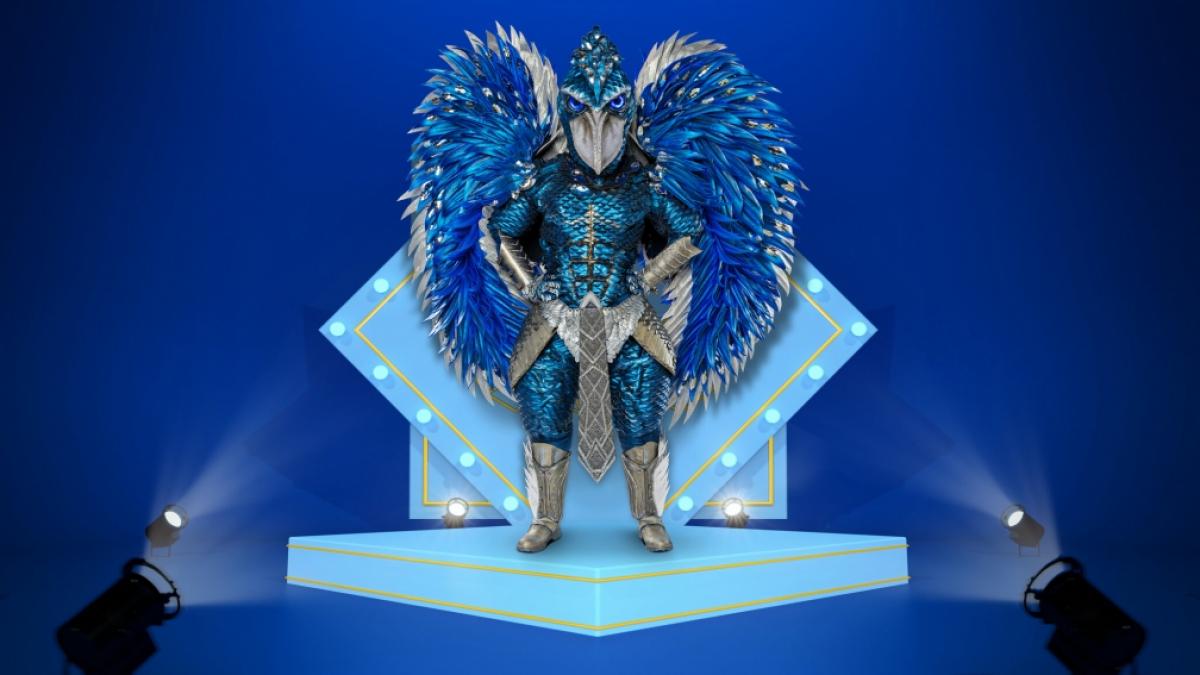 Schon beim ersten Anblick des Schuhschnabels gerieten die "The Masked Singer"-Fans aus dem H&auml;uschen - doch welcher Promi verbirgt sich hinter der Maske? (Foto)