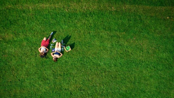 Sex im Sommer