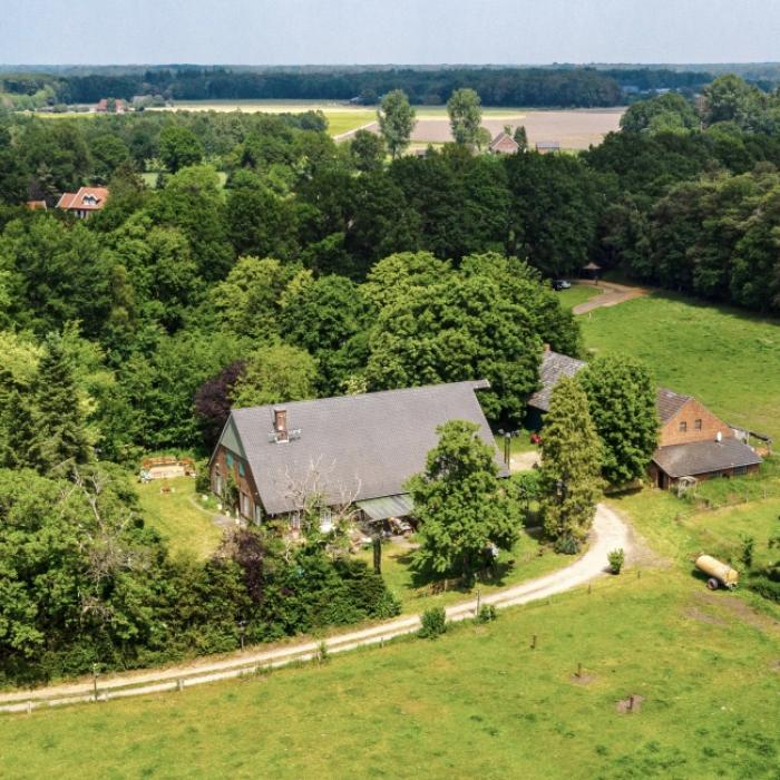 RTL überrascht Promis mit Regeländerung - Rauchwolken über Bocholt