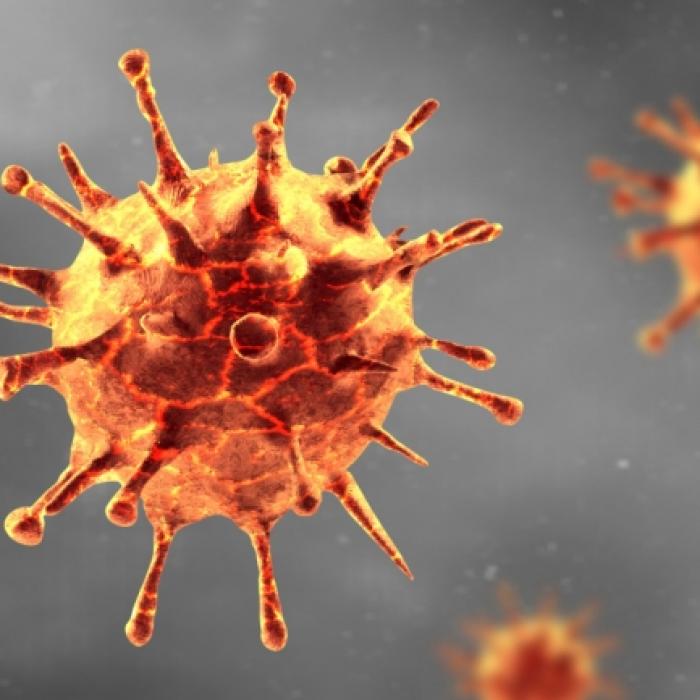 Wunderwaffe gegen Covid-19? DIESE Therapie macht Hoffnung