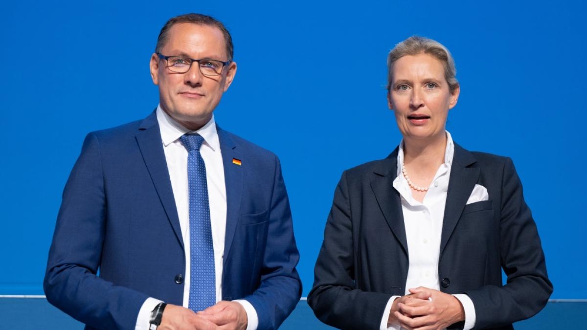Umfrage-Debakel f&uuml;r die AfD (Foto)