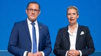 Umfrage-Debakel für die AfD