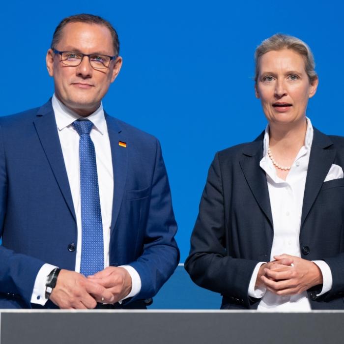 Umfrage-Debakel für AfD - Grüne holen auf