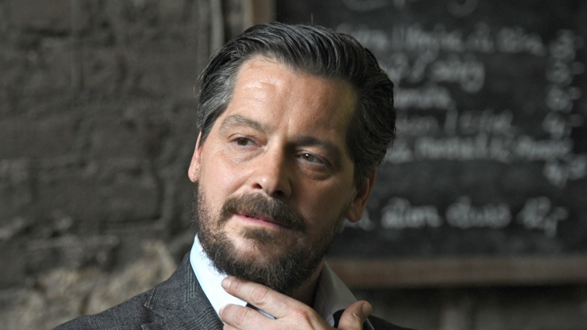 Fritz Karl mimt in der ARD-Serie "Falk" den gleichnamigen Anwalt. (Foto)