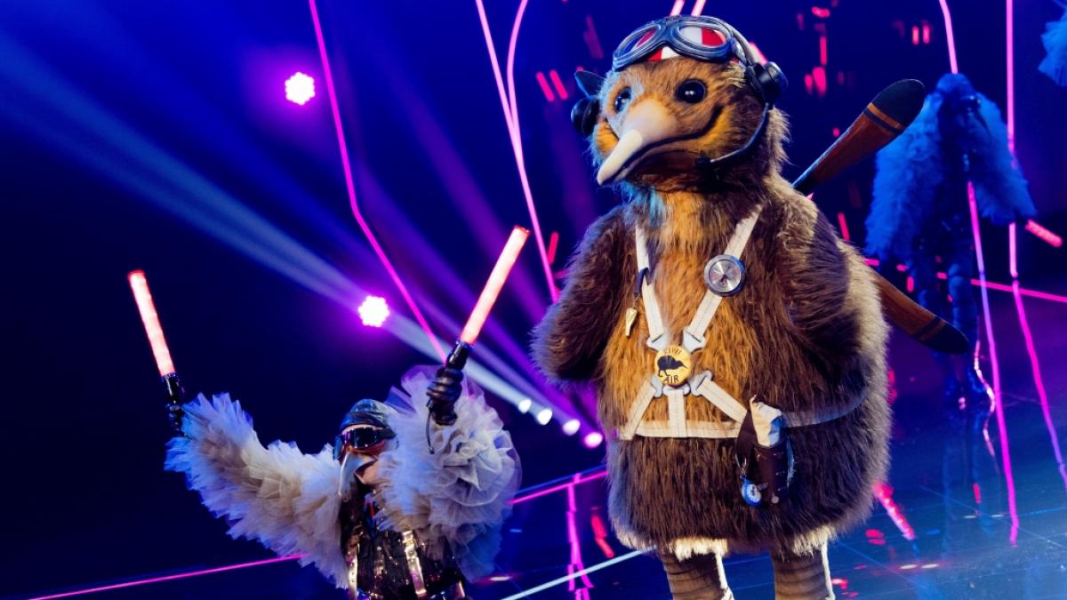Dem Kiwi passierte auf der "The Masked Singer"-B&uuml;hne ein gro&szlig;es Missgeschick. (Foto)