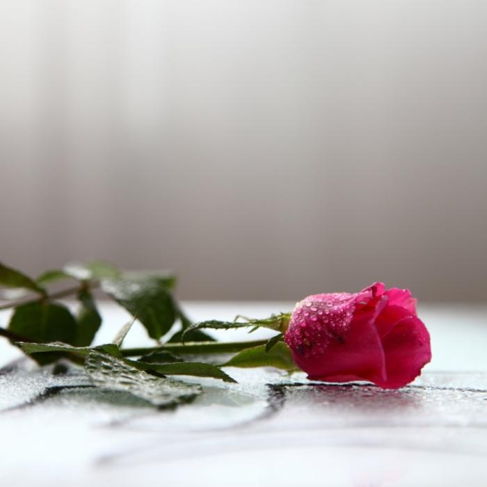 Traurige Gewissheit! Leiche von vermisster Schauspielerin (43) entdeckt
