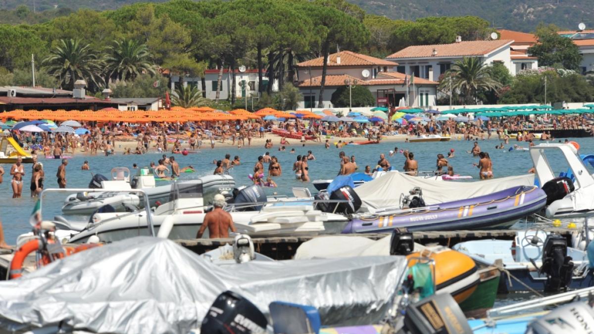 Auf Elba wurde eine gefleckte Meersau aus dem Wasser gezogen. (Foto)