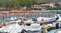 Auf Elba wurde eine gefleckte Meersau aus dem Wasser gezogen.