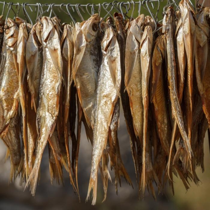 Lebensgefahr! DIESEN Fisch dürfen Sie nicht essen