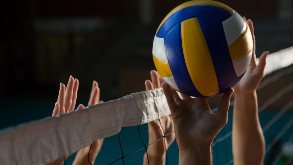 Aktuelle Volleyball-Nachrichten und -Ergebnisse hier auf news.de. (Foto)