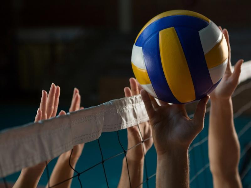 Neuer Coach in Berlin: "Guardiola des Volleyballs": Trainer-Ikone für Bundesliga