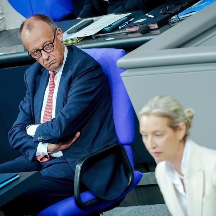 Umfrage-Knall für die AfD - Merz-Absturz wird immer schlimmer