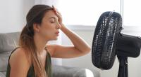 Steigende Temperaturen können sich nachteilig auf die Gesundheit des Menschen auswirken. Mit Ventilatoren und mobilen Klimageräten können Sie sich und ihrer Wohnung Abkühlung verschaffen.
