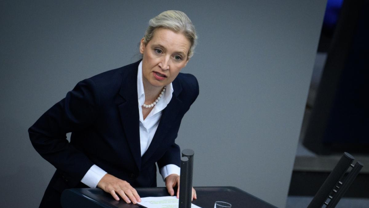 Alice Weidel verbreitete im ZDF-Sommerinterview eine irref&uuml;hrende Zahl zu Einb&uuml;rgerungen. (Foto)