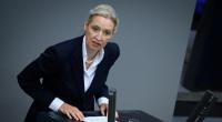 Alice Weidel verbreitete im ZDF-Sommerinterview eine irreführende Zahl zu Einbürgerungen.
