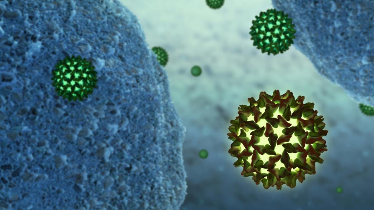 Ein Foto zeigt Hepatitis-B-Viren neben menschlichen Zellen. (Foto)
