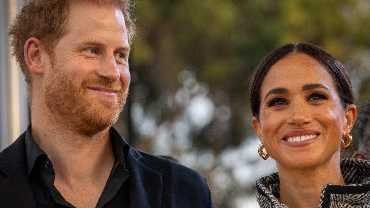 Sollen ihren Urlaub genie&szlig;en: Prinz Harry und Meghan Markle. (Foto)