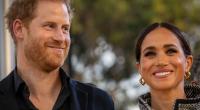 Sollen ihren Urlaub genießen: Prinz Harry und Meghan Markle.