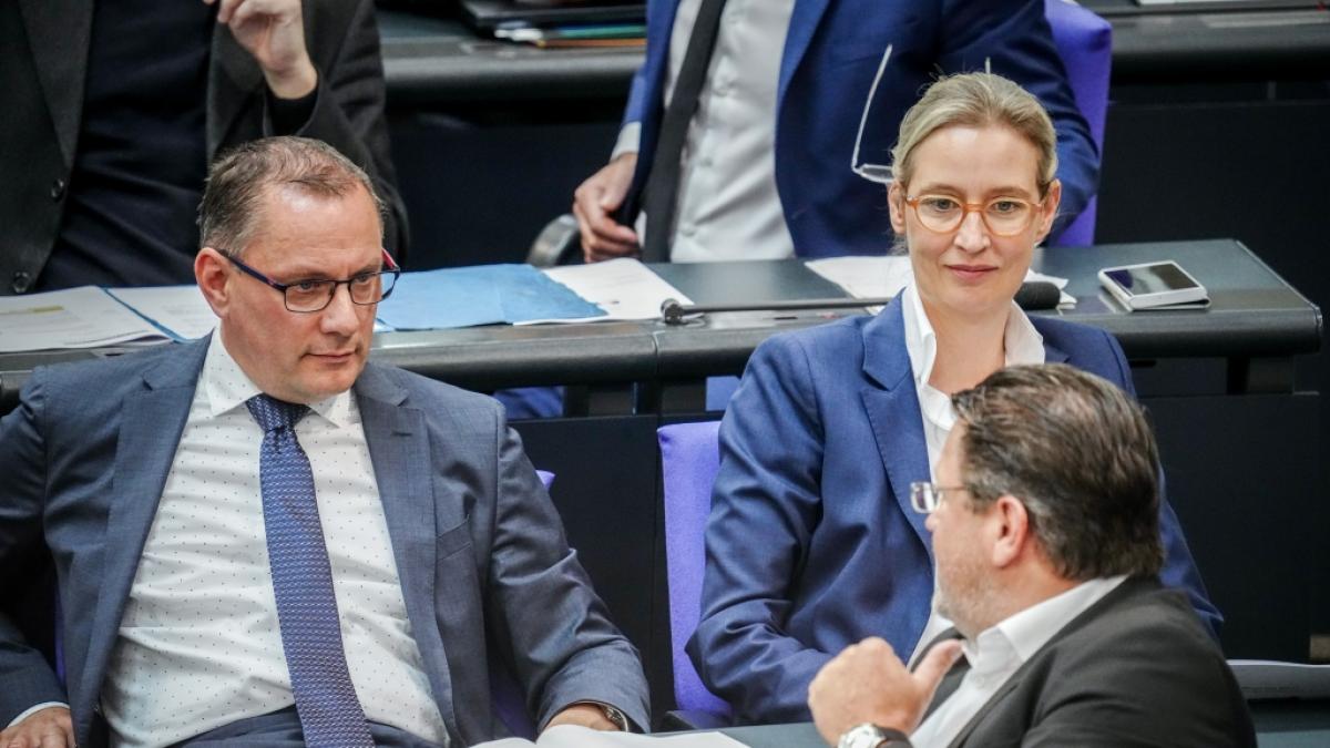 Die AfD strebt nach der Macht in Deutschland. (Foto)