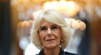 Auch in dieser Woche gerieten die britischen Royals in die Schlagzeilen.