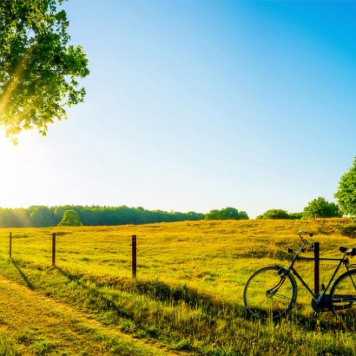 Temperatursturz nach dem Sommeranfang! SO 