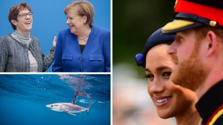 Die Nachrichten des Tages auf news.de.