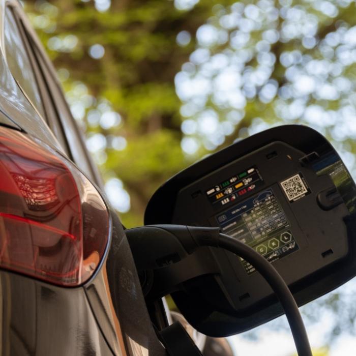 Warum E-Autos derzeit wieder so viel günstiger sind