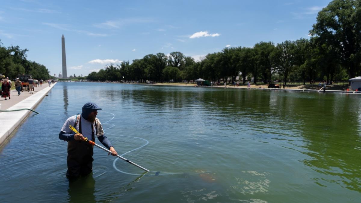Gr&uuml;n statt blau: Ein Mitarbeiter des National Park Service reinigt mit einem Sauger den Reflecting Pool des Lincoln Memorials. (Foto)