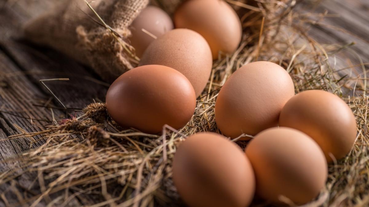 Neue Studie: Eier k&ouml;nnen das Alzheimer-Risiko senken. (Foto)