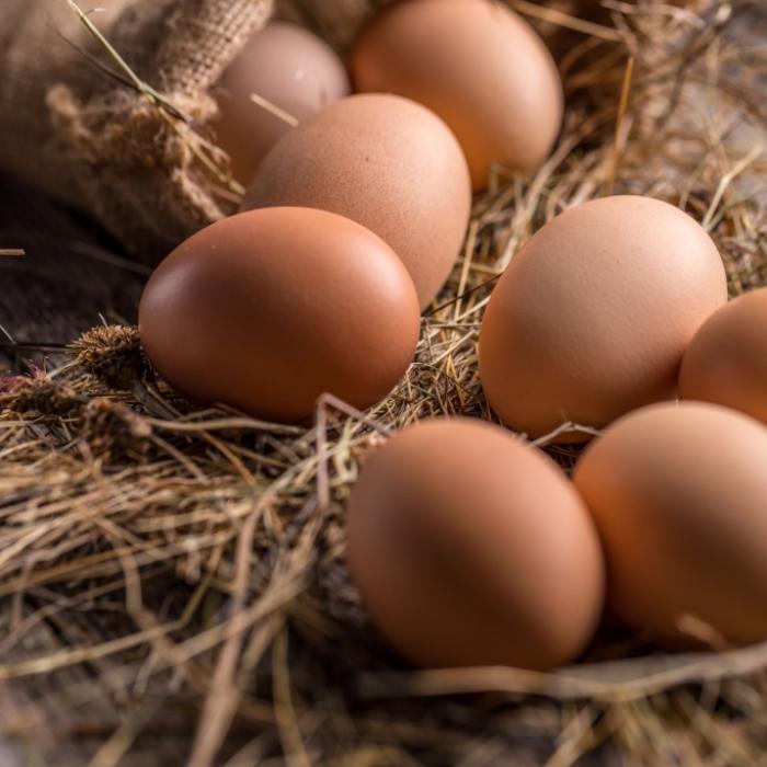 Essen gegen das Vergessen - Eier können das Demenz-Risiko senken