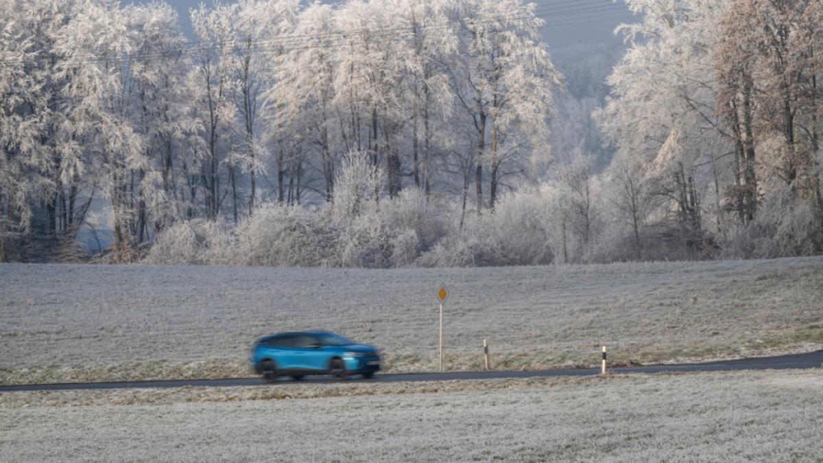 Das Wetter Ende Dezember h&auml;lt einige &Uuml;berraschungen parat. (Foto)