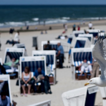 Nackte Wasserleiche am Badestrand angeschwemmt