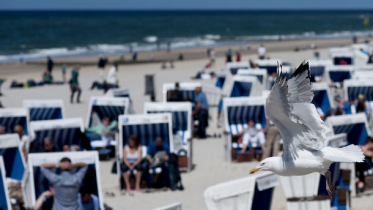 Die Urlaubsidylle auf Sylt wird von einem Wasserleichenfund überschattet. (Symbolfoto)