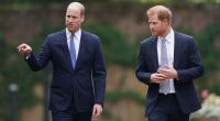 Prinz William und Prinz Harry im Juli 2021.
