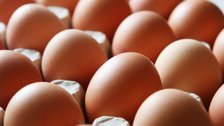 Lebensmittelwarnung! Eier der Firma Eifrisch sind von Salmonellen befallen.