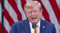 Donald Trump lässt seine Mitarbeiter einem Bericht zufolge verzweifeln.