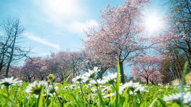 Kommen Sonnenanbeter im Mai voll auf ihre Kosten?